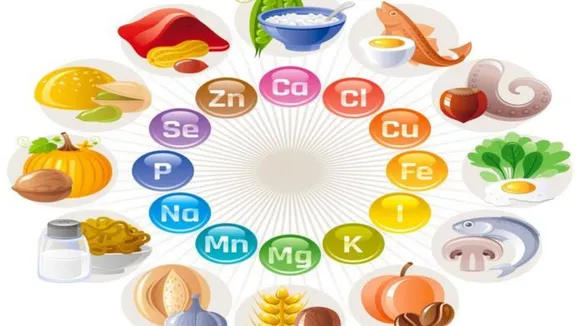 Essential Minerals 