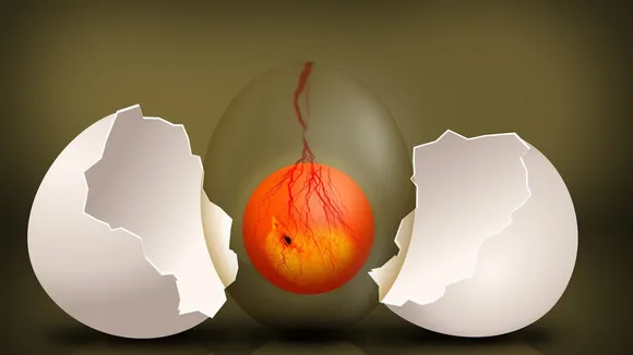 egg.png