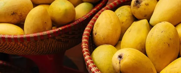 Mango 