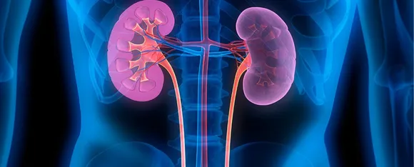 Kidney disease.png