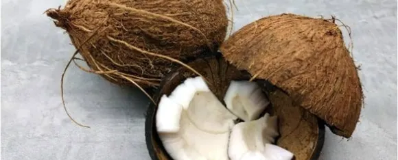 Coconut 