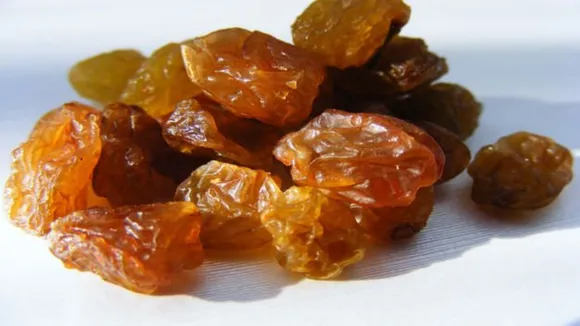 Guggul