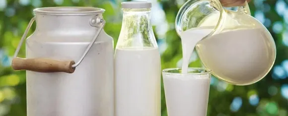 5 Foods That Have More Calcium Than 1 Glass of Milk