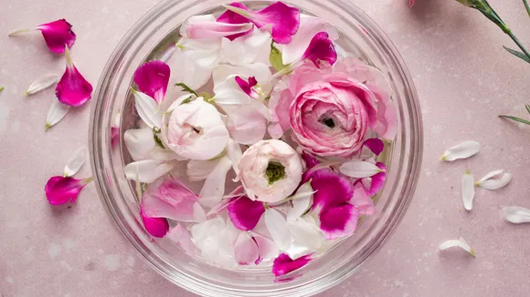 (Image Credit Freepik)