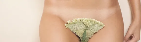 Pubic hair 0000.png