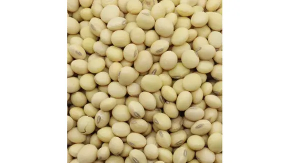 Soyabean 1(Big basket).png