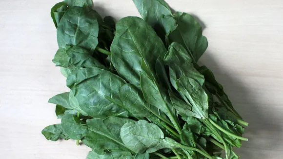 Spinach.png