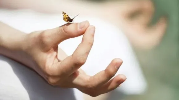 Effective Tips to Keep Your Mind Calm and Peaceful
