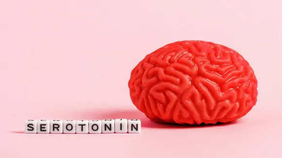 Serotonin Hormone(FREEPIK)