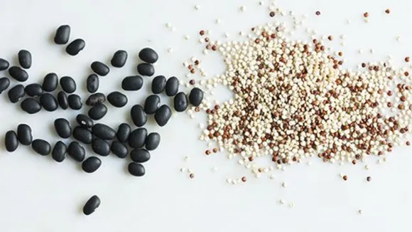 Combination Protein (Image Credit: pinterst)