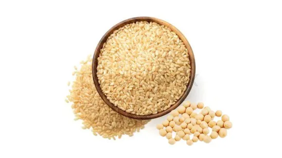 Plant Based Protein