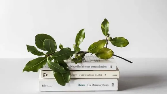 Minimalist (Pinterest)