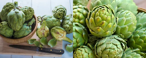 Artichoke
