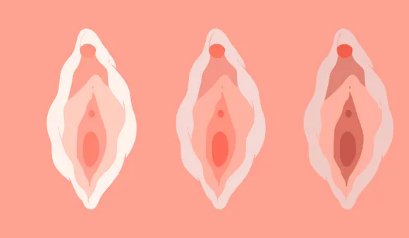 Sex after vagina 0000. png
