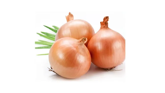 Onion (Naturally Vientnam).png