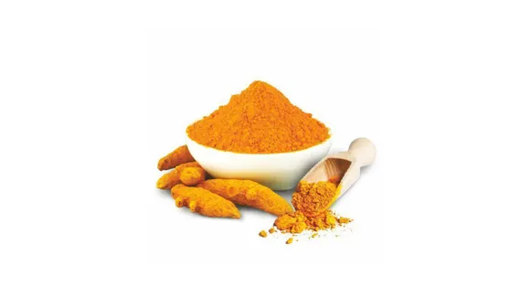 Haldi (Spinuts).png