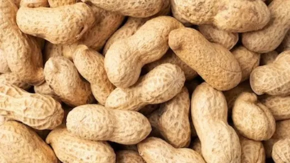 Peanut Advantage