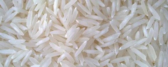 plastic rice
