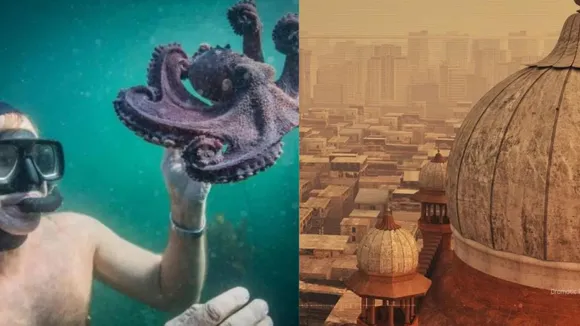 Environmental Films