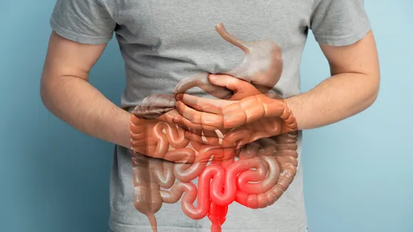 digestion freepik