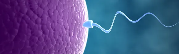 Infertility  .png
