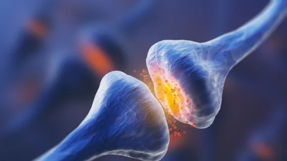 Neurotransmitters 