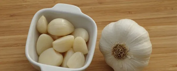 Garlic