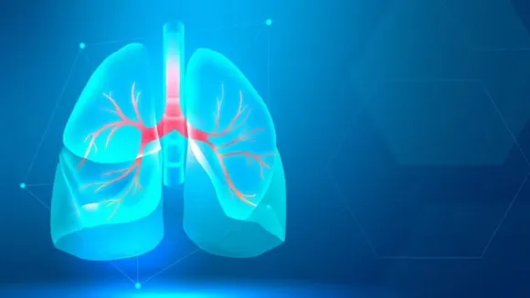 Lungs