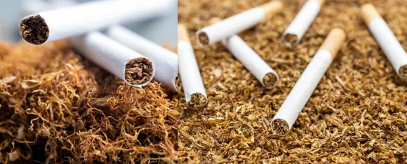 Tobacco