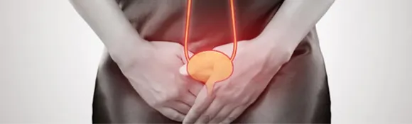 Utis 00 .png