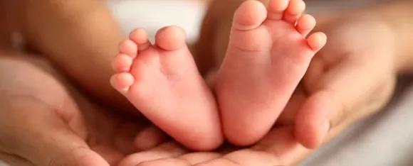 surrogacy