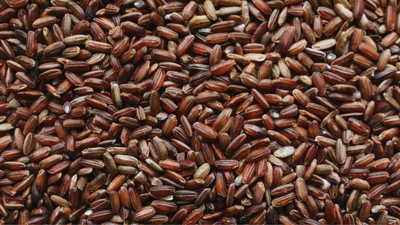 Brown Rice 