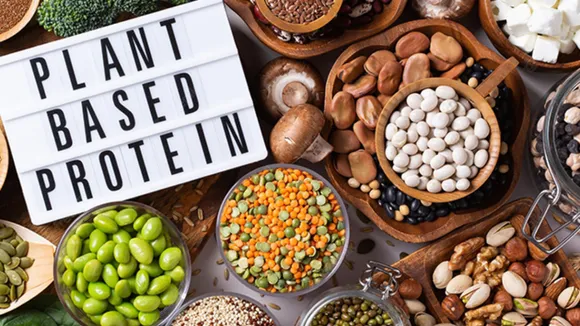 Plant Based protein 