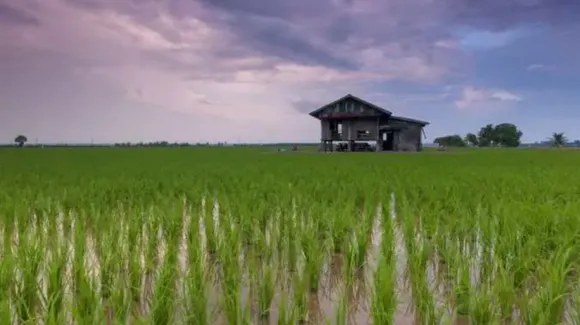 Kati Bihu 2022