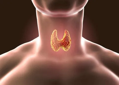 Thyroid Diet: थायरॉइड में क्या खाना फायदेमंद है और क्या खाना नुकसानदायक है 