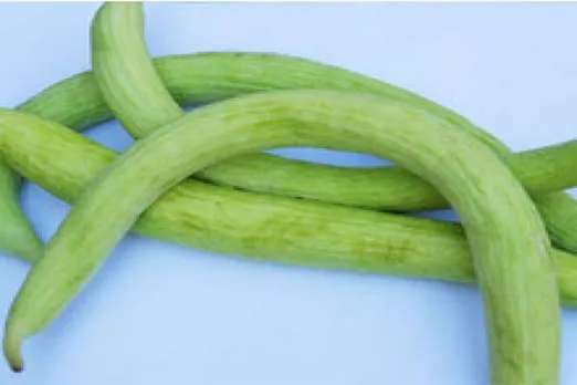 ककड़ी खाने के 5 फायदे