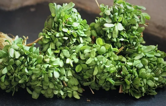 Benefits Of Eating Methi Bhaji: मेथी भाजी की सब्ज़ी खाने के फ़ायदे