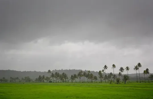 क्या मॉनसून में बढ़ सकता है कोरोना, जानिए क्या है एक्सपर्ट्स की राय 