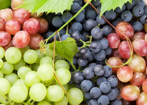 Fruits To Avoid In Pregnancy: प्रेग्नेंसी के समय नहीं करना चाहिए इन फलों का सेवन