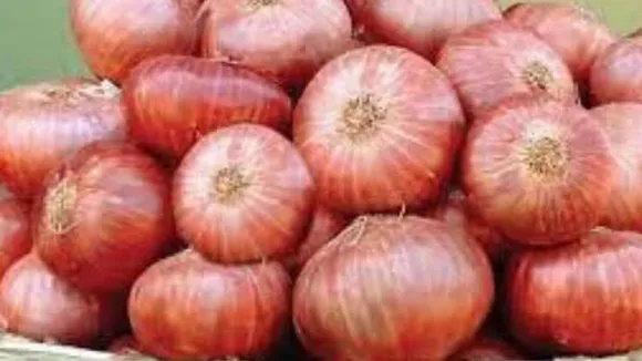 Onion Juice Benefits On Hair:  प्याज के रस को बालों में लगाने के फायदे