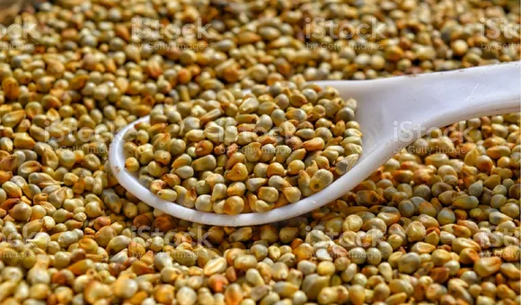 Benefits Of Bajra: बाजरा खाने के 5 फायदे जो आपको जरूर जानना चाहिए