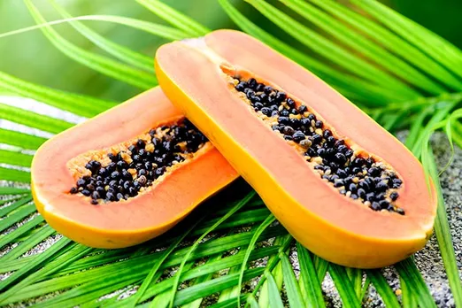 Papaya During Pregnancy? क्या प्रेगनेंसी के दौरान पपीता खा सकते हैं?