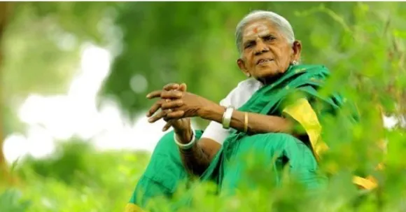 10 कारण क्यों सालूमरादा थिम्मक्का एक महान प्रेरणा है