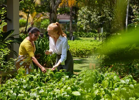 566527 Anantara Peace Haven Tangalle Resort has a large organic farm to supply its kitchen and spa f38b23 original 1733302257