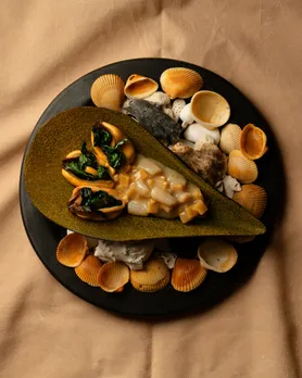 SOMMA SOLTERRA - MUSSELS - RAZOR CLAMS - WILD GARLIC - KOJI - QUADRETTI