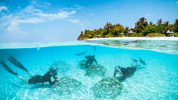 Coral Regeneration at Four Seasons Resorts Maldives (2)