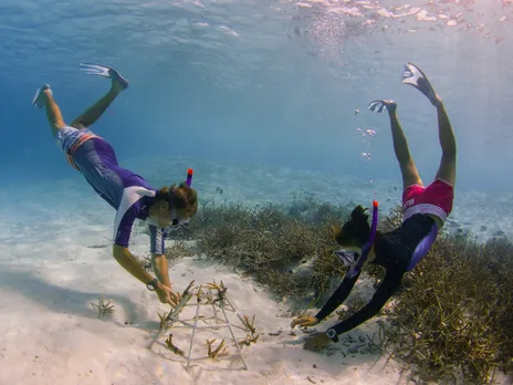 Anantara - Coral Planting