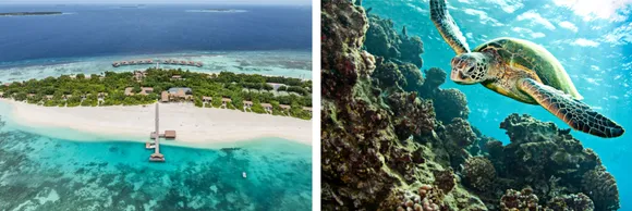 3867ef25-f738-c3d1-2613-7b620bacfa7b