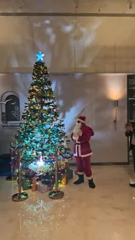 Tree Lighting - ISM -1