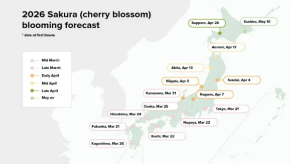 Cherry Blossom Forecast 2026 & Festivals in Mt. Fuji Area